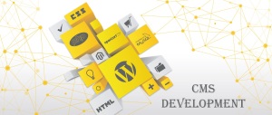 Website Developer & Designer